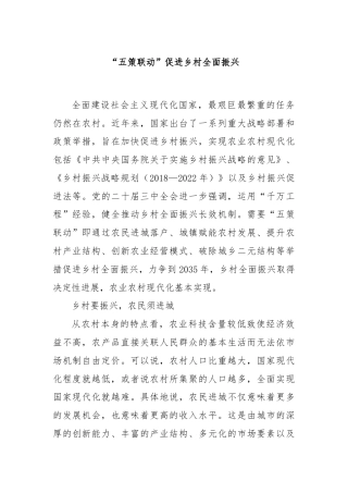 “五策联动”促进乡村全面振兴