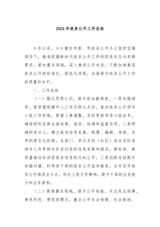 2024年政务公开工作总结