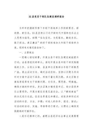 XX县党员干部队伍建设调研报告
