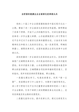 当好国有能源企业全面深化改革排头兵