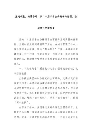 党建领航，城管奋进：以二十届三中全会精神为指引，全域提升党建质量