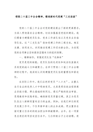 领悟二十届三中全会精神，锻造新时代党建“三支劲旅”