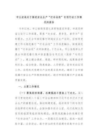 市公安局关于推进安全生产“打非治违”专项行动工作情况的报告