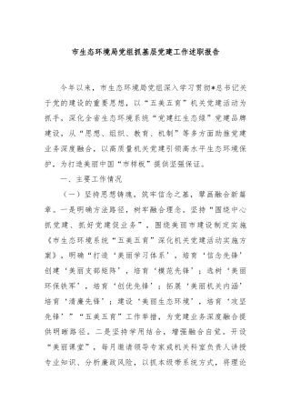 市生态环境局党组抓基层党建工作述职报告