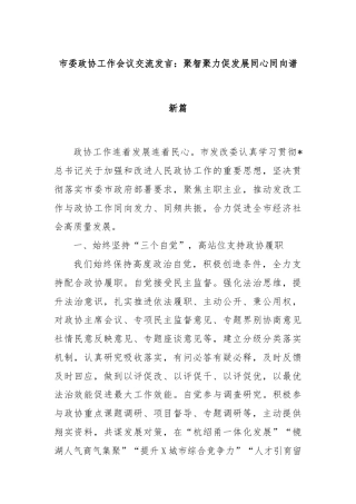 市委政协工作会议交流发言：聚智聚力促发展同心同向谱新篇