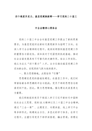 四个维度齐发力，基层党建焕新辉——学习党的二十届三中全会精神心得体会