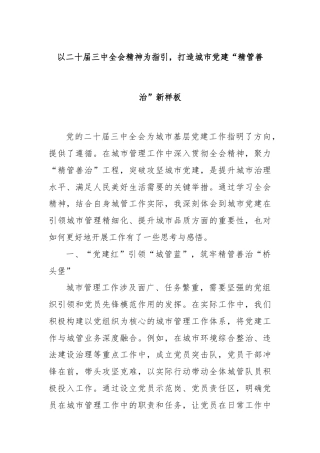 以二十届三中全会精神为指引，打造城市党建“精管善治”新样板
