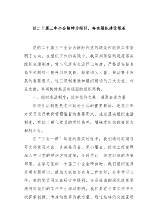 以二十届三中全会精神为指引，夯实组织建设根基