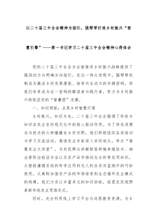 以二十届三中全会精神为指引，强帮带打造乡村振兴“智慧引擎”——第一书记学习二十届三中全会精神心得体会
