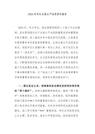 2024年市长全面从严治党责任报告