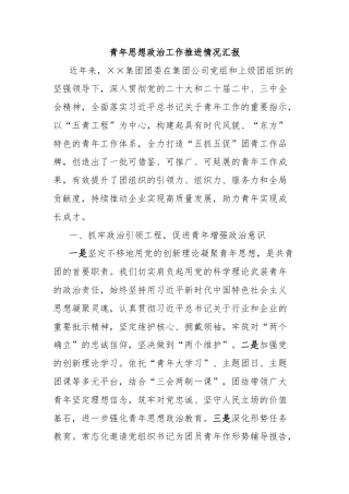青年思想政治工作推进情况汇报