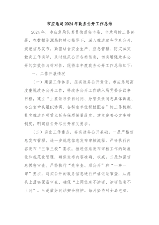 市应急局2024年政务公开工作总结