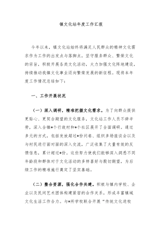 镇文化站年度工作汇报