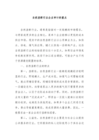 自然垄断行业企业审计的重点