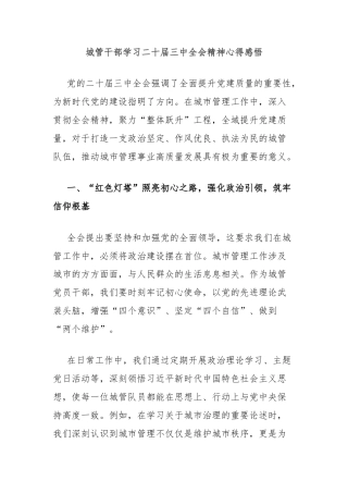 城管干部学习二十届三中全会精神心得感悟