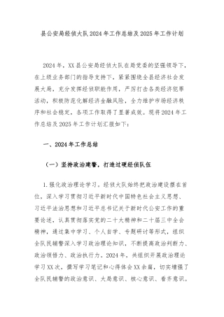 县公安局经侦大队2024年工作总结及2025年工作计划