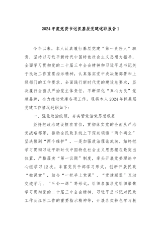 2024年度党委书记抓基层党建述职报告1