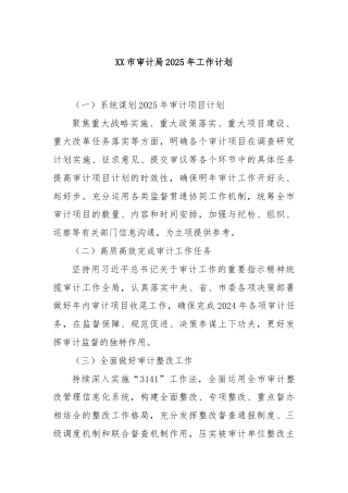 XX市审计局2025年工作计划