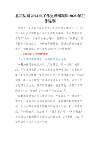 县司法局2024年工作完成情况和2025年工作谋划