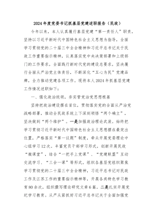 2024年度党委书记抓基层党建述职报告（民政）