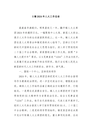 X 镇 2024 年人大工作总结