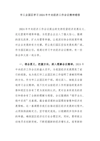 市工业园区学习2024年中央经济工作会议精神感悟