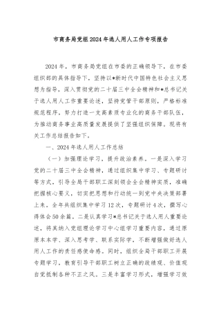 市商务局党组2024年选人用人工作专项报告