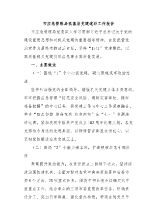 市应急管理局抓基层党建述职工作报告