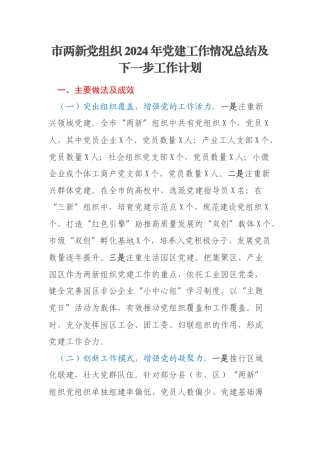 市两新党组织2024年党建工作情况总结及下一步工作计划