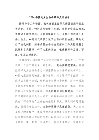 2024年度民主生活会领导点评讲话