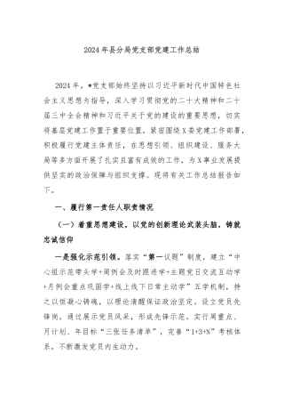 2024年县分局党支部党建工作总结