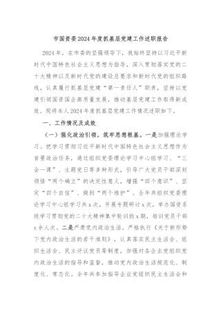 市国资委2024年度抓基层党建工作述职报告