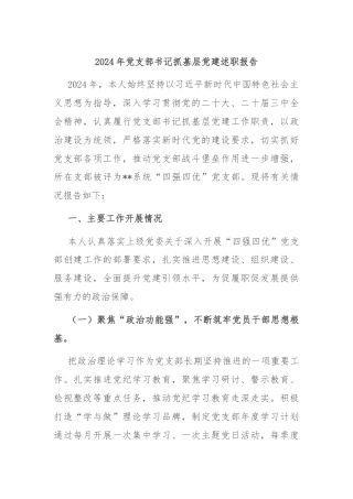 2024年党支部书记抓基层党建述职报告