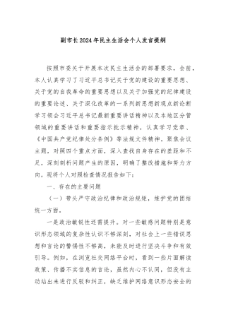 副市长2024年民主生活会个人发言提纲