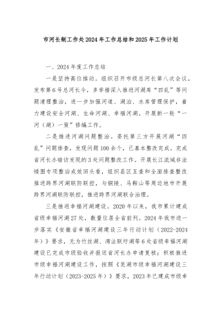 市河长制工作处2024年工作总结和2025年工作计划