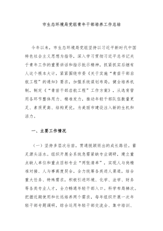 市生态环境局党组青年干部培养工作总结