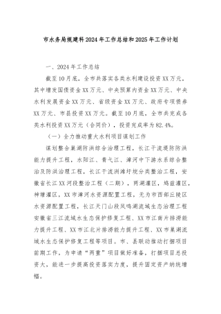 市水务局规建科2024年工作总结和2025年工作计划