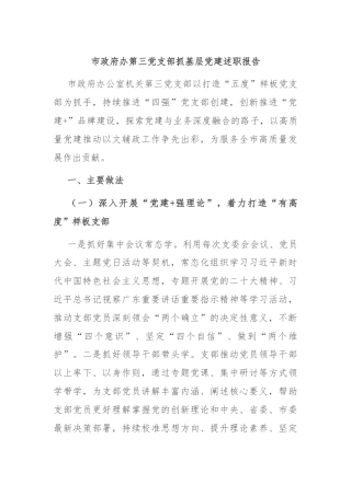 市政府办第三党支部抓基层党建述职报告