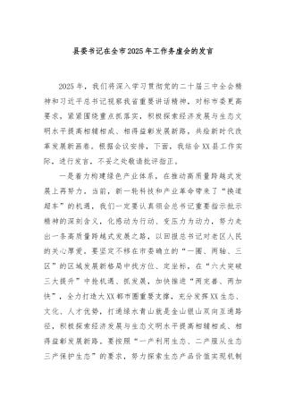 县委书记在全市2025年工作务虚会的发言