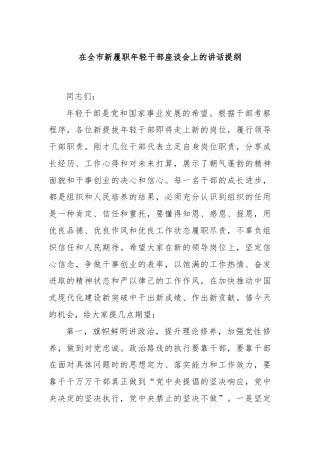在全市新履职年轻干部座谈会上的讲话提纲