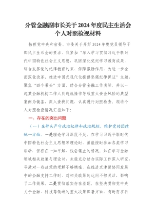 分管金融副市长关于2024年度民主生活会个人对照检视材料