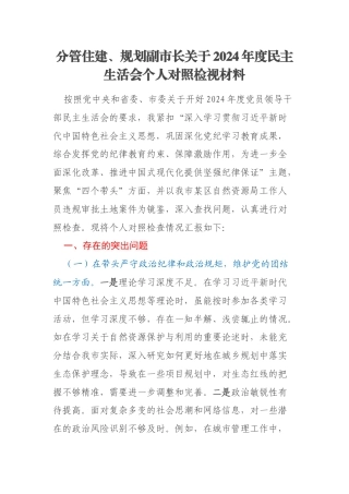 分管住建、规划副市长关于2024年度民主生活会个人对照检视材料