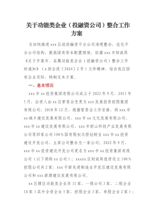 关于功能类企业（投融资公司）整合工作方案 