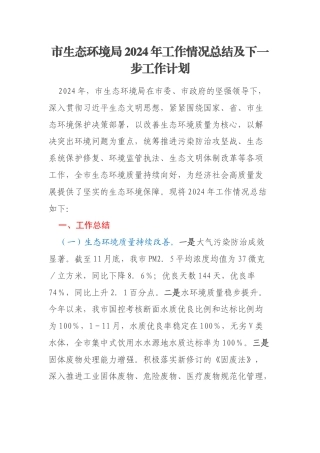 市生态环境局2024年工作情况总结及下一步工作计划