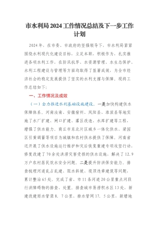 市水利局2024工作情况总结及下一步工作计划