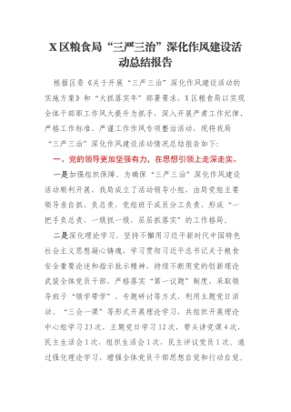 X区粮食局“三严三治”深化作风建设活动总结报告