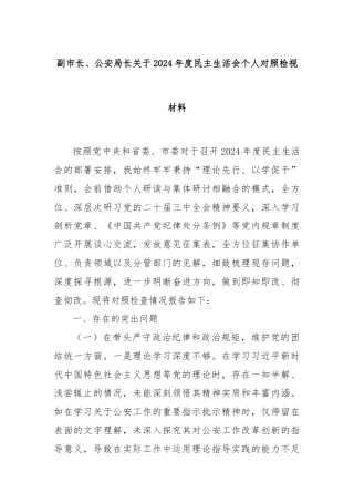 副市长、公安局长关于2024年度民主生活会个人对照检视材料