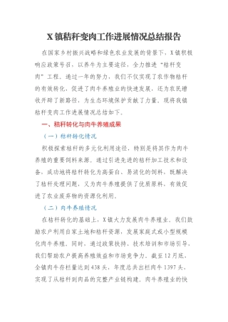 X镇秸秆变肉工作进展情况总结报告