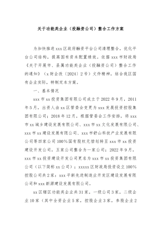 关于功能类企业（投融资公司）整合工作方案