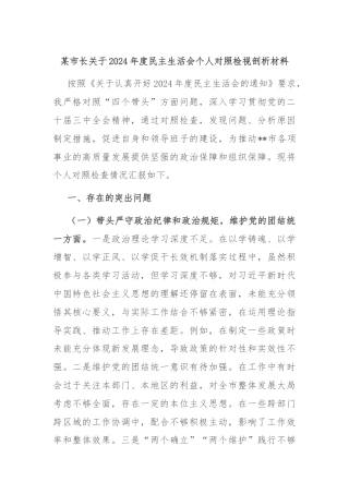 某市长关于2024年度民主生活会个人对照检视剖析材料